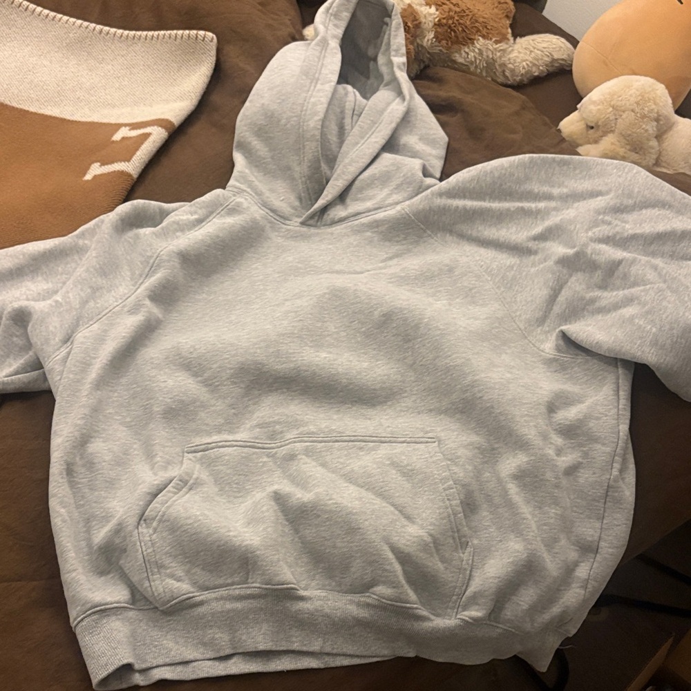 Aritzia Light Gray Pullover Hoodie